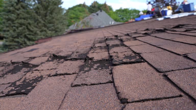 Best Wood Shake Roofing  in Mechanicsburg, OH