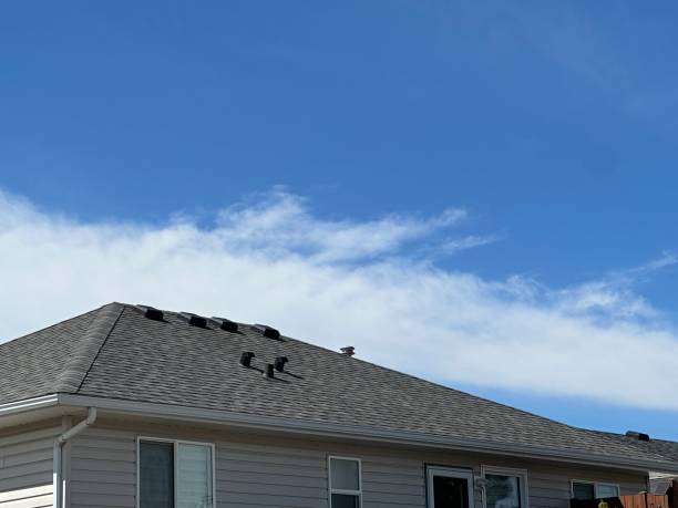Best Skylight Installation and Repair  in Mechanicsburg, OH